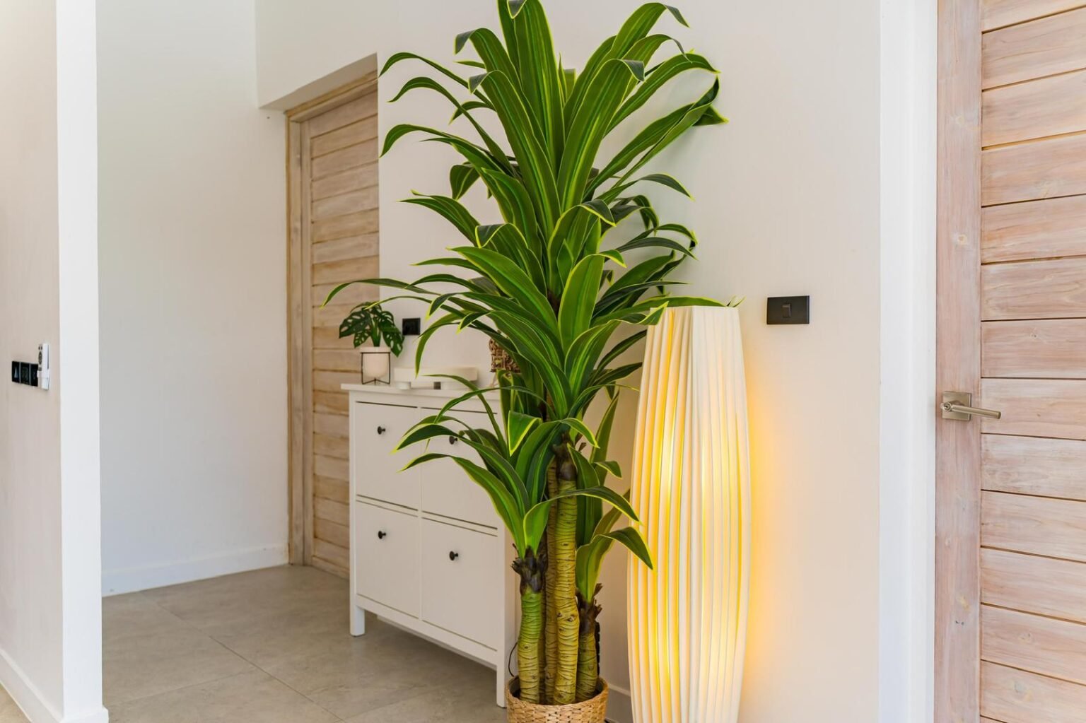 WhatsApp Image 2025-09-01 at 8.33.52 PM