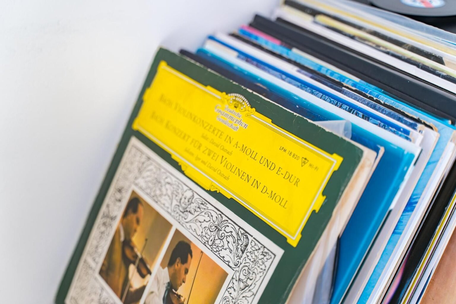 WhatsApp Image 2025-09-01 at 8.34.01 PM