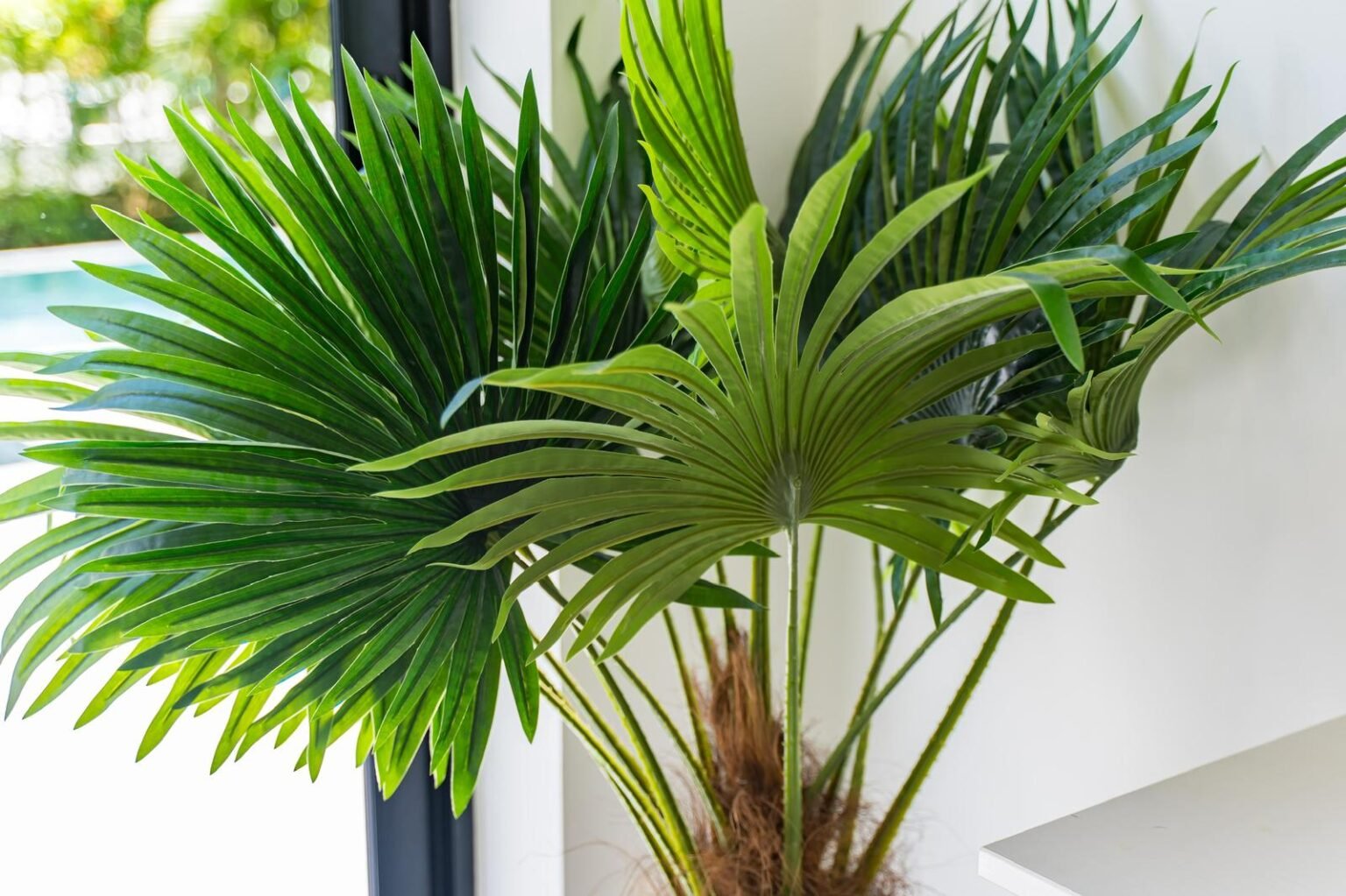 WhatsApp Image 2025-09-01 at 8.34.03 PM