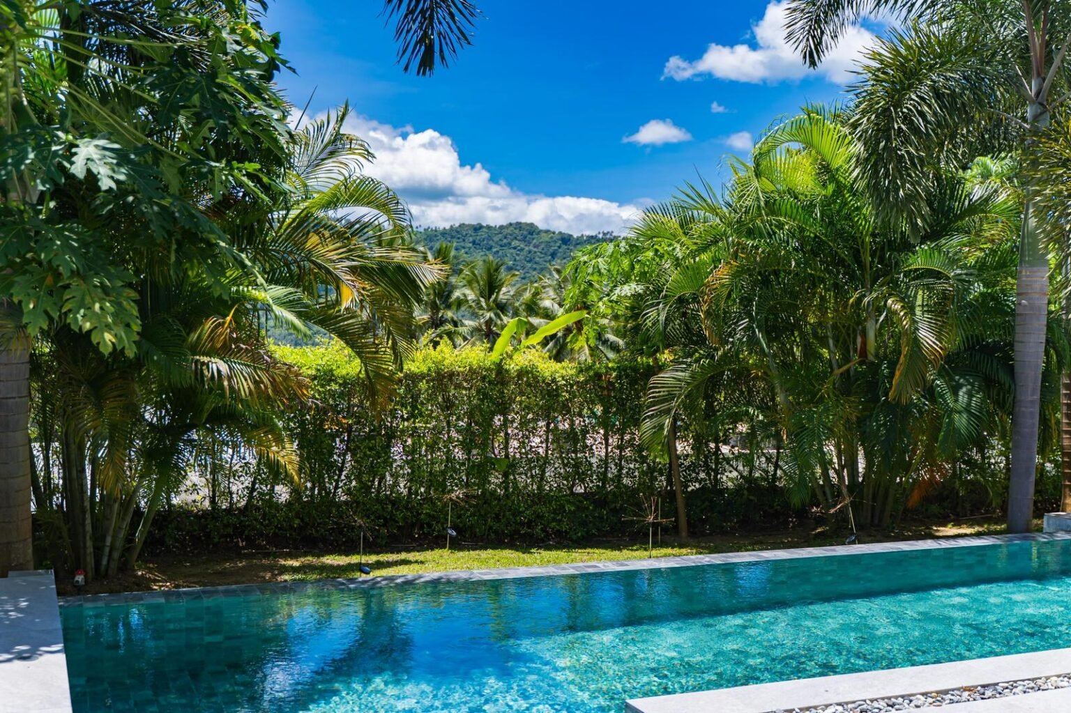 WhatsApp Image 2025-09-01 at 8.34.05 PM