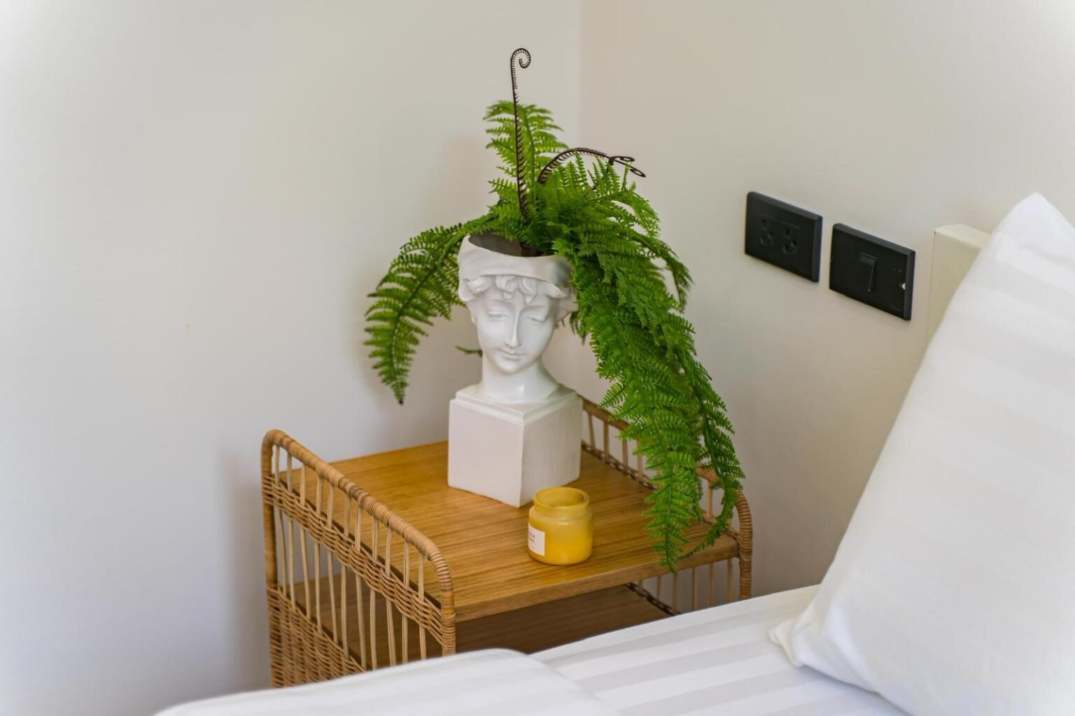 WhatsApp Image 2025-09-01 at 8.34.07 PM (2)