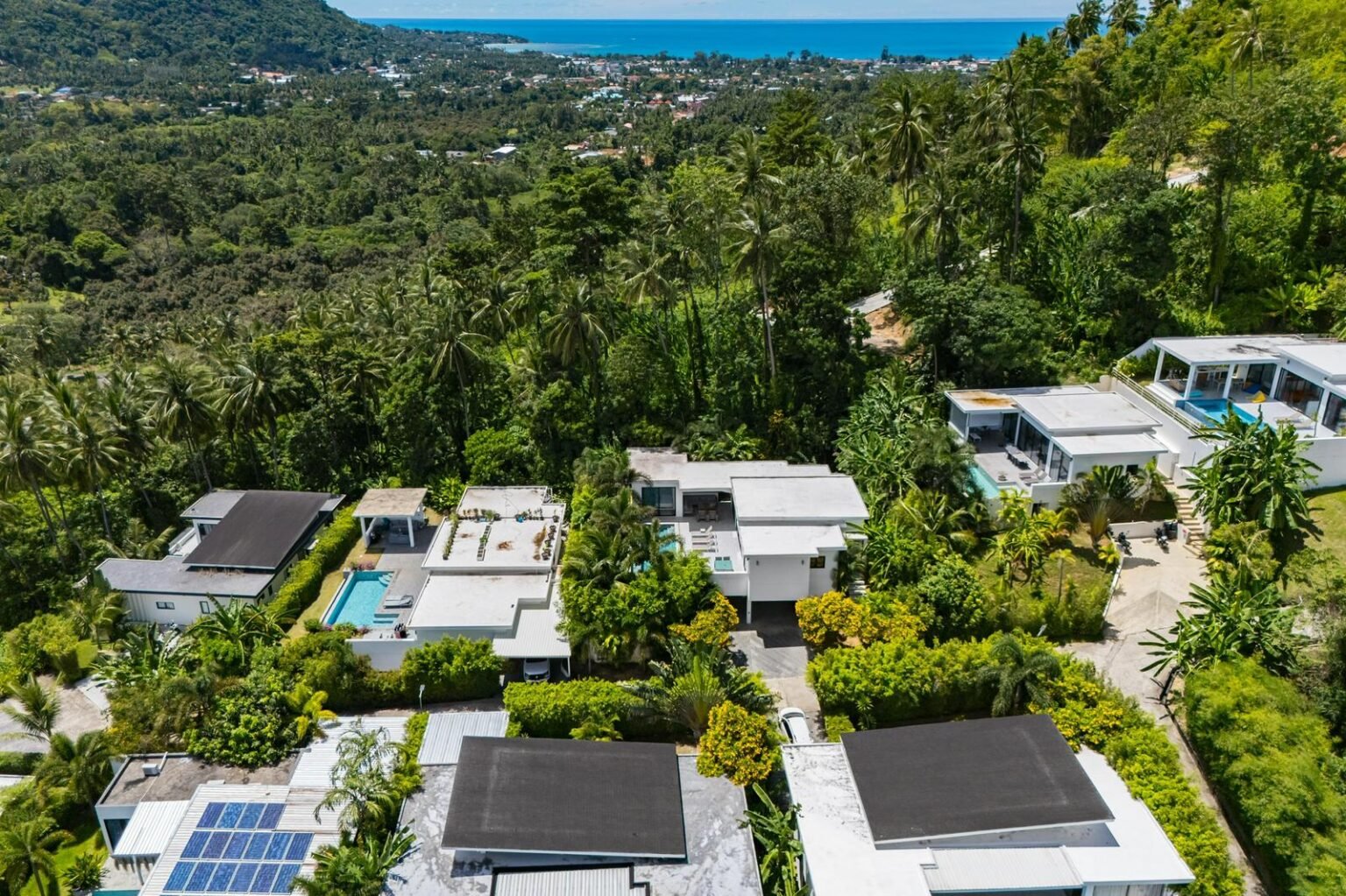 WhatsApp Image 2025-09-01 at 8.34.08 PM