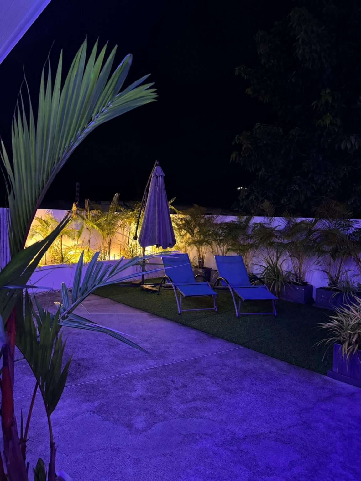 WhatsApp Image 2025-11-06 at 5.14.11 AM