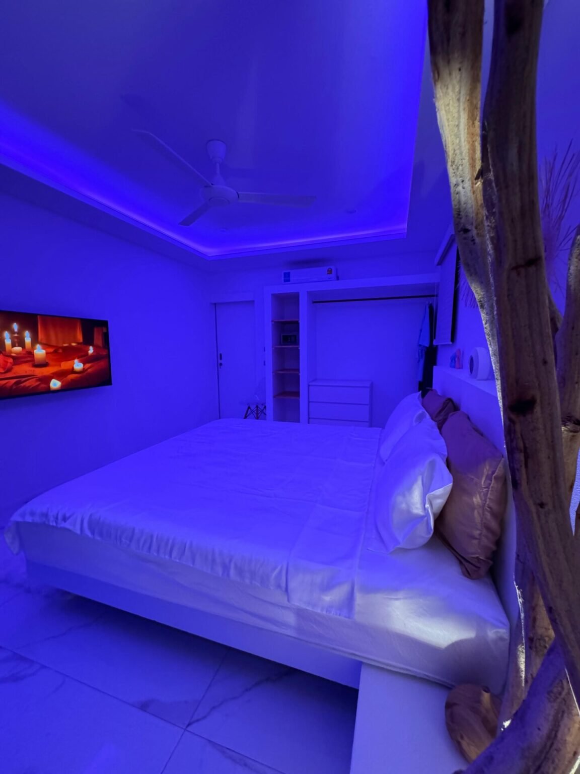 WhatsApp Image 2025-11-06 at 5.14.19 AM