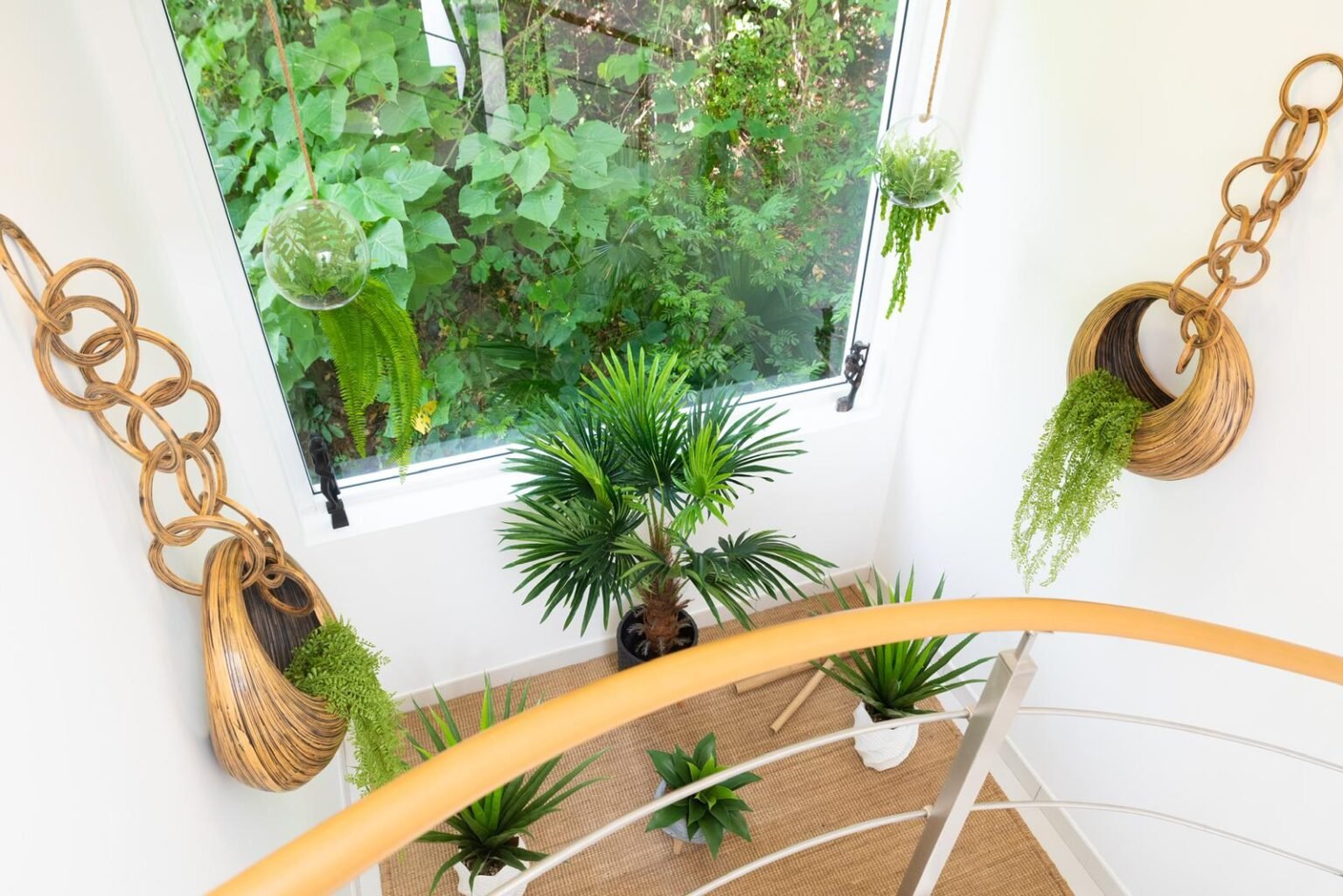 WhatsApp Image 2026-02-06 at 11.39.35 AM